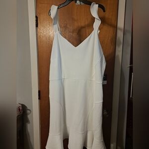 Plus White Vera Wang dress